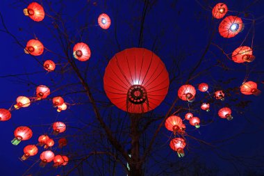 Mavi arka planda kırmızı fenerler