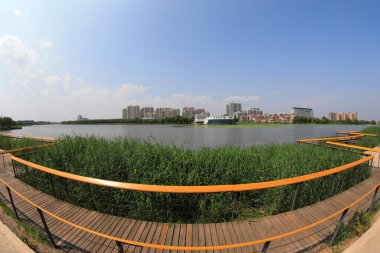 Park Tahta Platformu, Geniş Açı Fotoğrafçılık