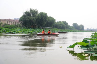 Luannan İlçesi, Çin - 15 Temmuz 2019: Ziyaretçiler, Çin 'in Hebei Eyaleti, Luannan İlçesi, tekneyle lotus çiçeklerinin tadını çıkarıyorlar.