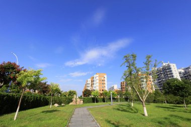 Şehir parkı manzarası Çin
