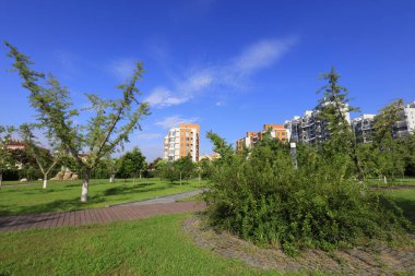 Şehir parkı manzarası Çin