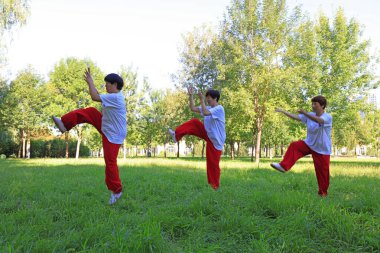 Luannan County - 24 Ağustos 2018: Taijiquan matkabı parkta, Luannan County, Hebei Eyaleti, Çin