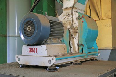 Şehir parkı manzarası Çin