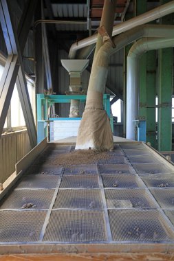 Şehir parkı manzarası Çin