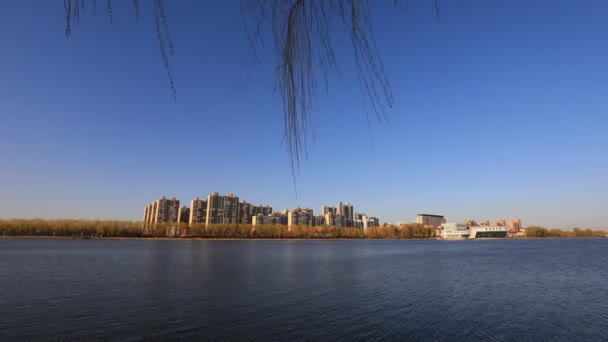 华北滨水城的春景 — 图库视频影像