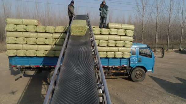 Luannan County China Março 2020 Carga Alimentação Briquete Palha Transportadora — Vídeo de Stock