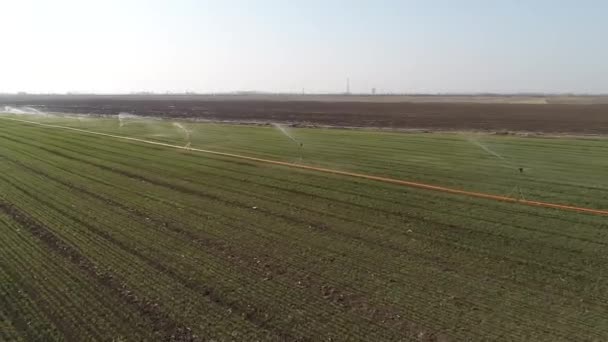 Sprinkler Irrigation Facilities Wheat Fields Operation Luannan County Hebei Province — Stockvideo