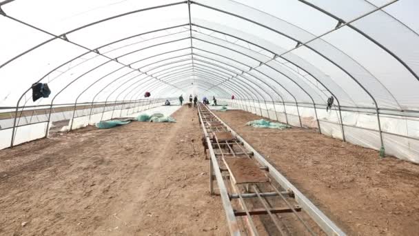 Lannan County Čína Dubna 2020 Zemědělci Používají Zemědělské Stroje Výsadbě — Stock video
