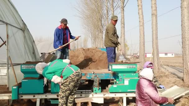 Luannan County Kina April 2020 Bønder Bruker Landbruksmaskiner Til Plante – stockvideo