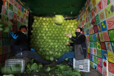 LUANNAN COUNTY - 18 Şubat 2020: Çin lahanalarının yüklenmesi ve taşınması için hazırlanan sebze çiftçileri, LUANNAN COUNTY, Hebei Eyaleti, Çin