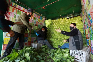 LUANNAN COUNTY - 18 Şubat 2020: Çin lahanalarının yüklenmesi ve taşınması için hazırlanan sebze çiftçileri, LUANNAN COUNTY, Hebei Eyaleti, Çin