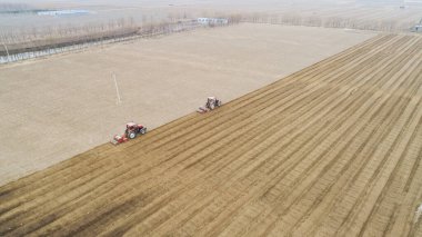 Tohum eken eker, Kuzey Çin 'de.