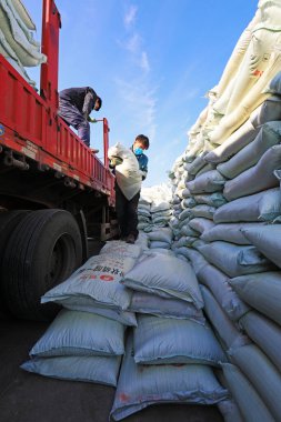 LUANNAN COUNTY - 2 Mart 2020: İşçiler LUANNAN COUNTY, Hebei Eyaleti, Çin 'deki bir fabrikaya gübre yüklüyorlar