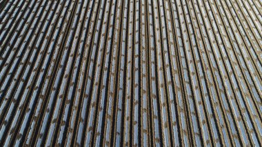 Patates tarlada plastik film ile kaplı, Kuzey Çin Ovası