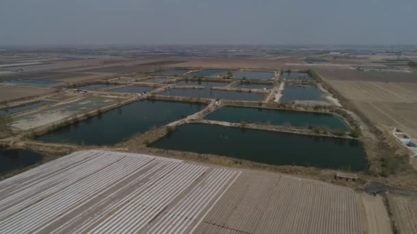 Field Scenery Észak Kína Plain Légi Felvételek Uav Luannan Ország — Stock videók