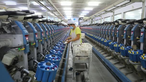 Luannan County Hebeiprovinsen Kina April 2020 Kvinnliga Arbetstagare Arbetar Hårt — Stockvideo