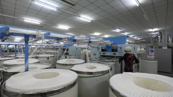Luannan County Provincia Hebei China Abril 2020 Las Trabajadoras Trabajan — Vídeo de stock