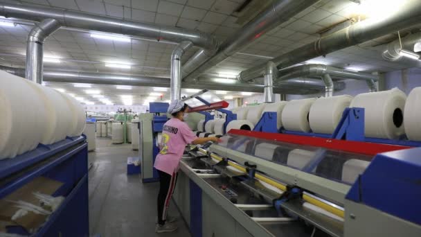 中国河北省阮南县 2020年4月20日 女工在生产线上辛勤劳作 — 图库视频影像