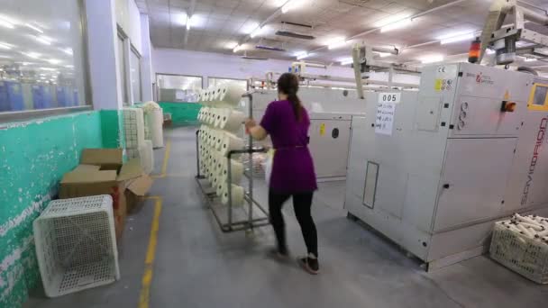 Lannan County Provincie Hebei Čína Dubna 2020 Pracovníci Jsou Zaneprázdněni — Stock video