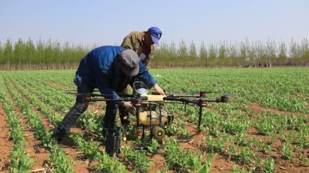 Luannan County Provincie Hebei China April 2020 Boeren Voegen Vloeibare — Stockvideo