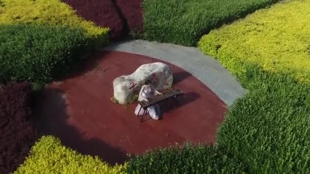 2020年5月10日 中国河北省阮南县 一位女士正在公园练习古城 — 图库视频影像