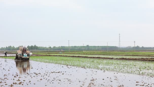 Condado Luannan Provincia Hebei China Mayo 2020 Los Agricultores Utilizan — Vídeo de stock