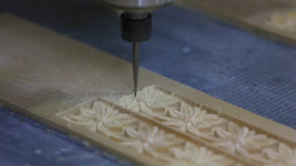 木工の生産会社の機械彫刻の生産ライン 北中国 — ストック動画
