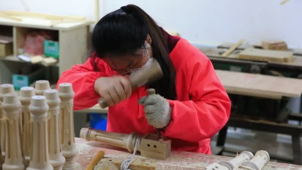Luannan 카운티 허베이성 2020 노동자는 라인에 공장에서 바쁘다 — 비디오