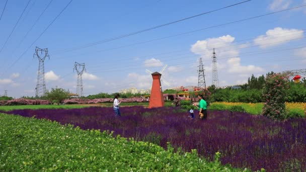 Luannan County Επαρχία Hebei Κίνα Μαΐου 2020 Τουρίστες Τραβούν Φωτογραφίες — Αρχείο Βίντεο