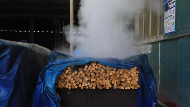 Wood Handle Fumigation Production Line Steel Shovel Factory — Stock Video