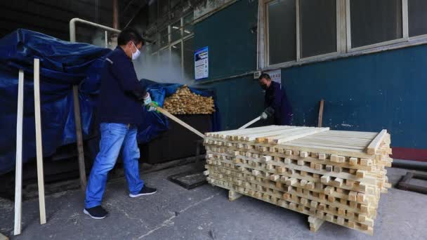 2020年5月29日 中国河北省阮南县 一名工人在一家钢铲生产公司的木制手柄矫直生产线工作 — 图库视频影像