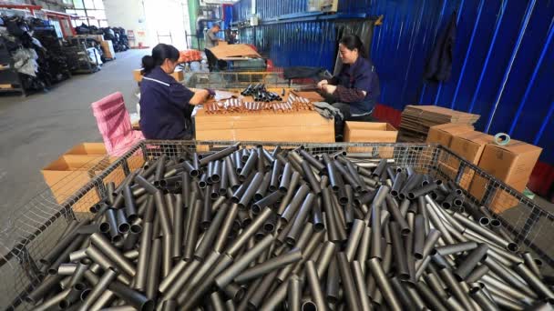 Luannan County Provincia Hebei China Mayo 2020 Escena Producción Línea — Vídeo de stock