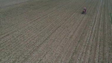 Çiftçiler, Kuzey Çin 'de fıstık ezmesi püskürtmek için kendinden itişli sprey kullanıyorlar..