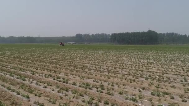 Zemědělci Řídit Samohybný Postřikovač Pro Postřik Arašídy Severní Čína — Stock video
