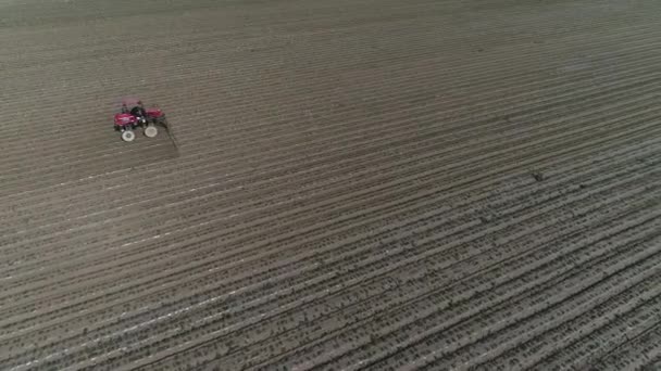 Çiftçiler Kuzey Çin Fıstık Ezmesi Püskürtmek Için Kendinden Itişli Sprey — Stok video