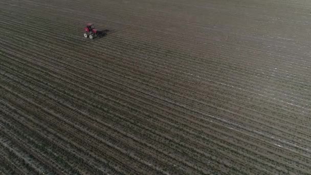 Фермеры Приводят Движение Самоходный Распылитель Арахисового Опрыскивания Северный Китай — стоковое видео