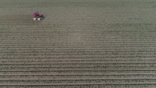 Jordbrukare Kör Självgående Spruta För Jordnötsbesprutning Norra Kina — Stockvideo