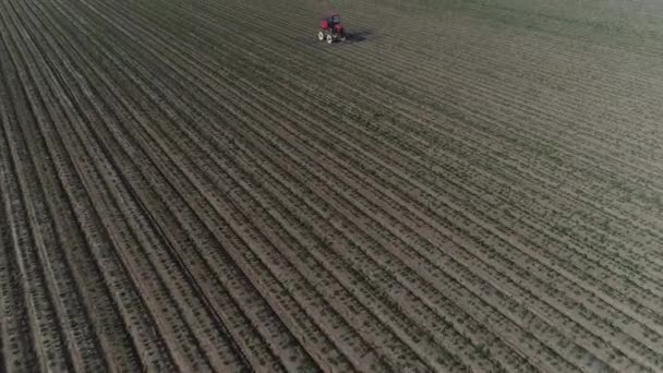 Zemědělci Řídit Samohybný Postřikovač Pro Postřik Arašídy Severní Čína — Stock video