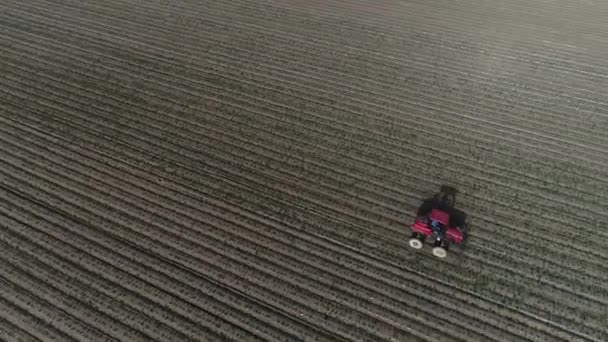 Los Agricultores Impulsan Pulverizador Autopropulsado Para Pulverización Cacahuetes Norte China — Vídeo de stock