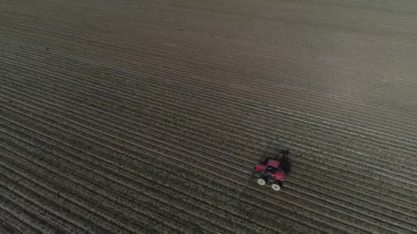 Les Agriculteurs Conduisent Pulvérisateur Automoteur Pour Pulvérisation Arachides Chine Nord — Video