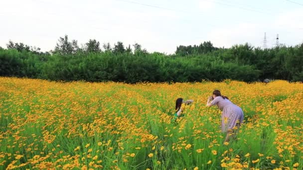 Paese Luannano Provincia Hebei Cina Giugno 2020 Turisti Giocano Parco — Video Stock