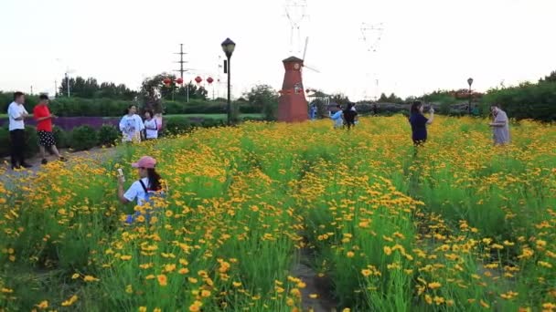 Luannan County Província Hebei China Junho 2020 Turistas Brincam Parque — Vídeo de Stock