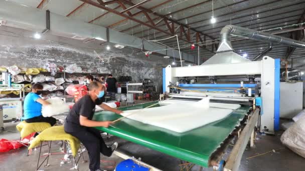 Luannan County Hebeiprovinsen Kina Juni 2020 Arbetare Sysselsatta Bomullsproduktionslinje — Stockvideo