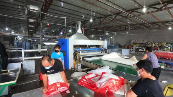 Луаннанская Страна Провинция Хэбэй Китай Июня 2020 Года Рабочие Заняты — стоковое видео