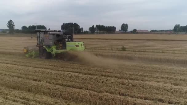 中国北方的收获者在田里收割小麦 — 图库视频影像