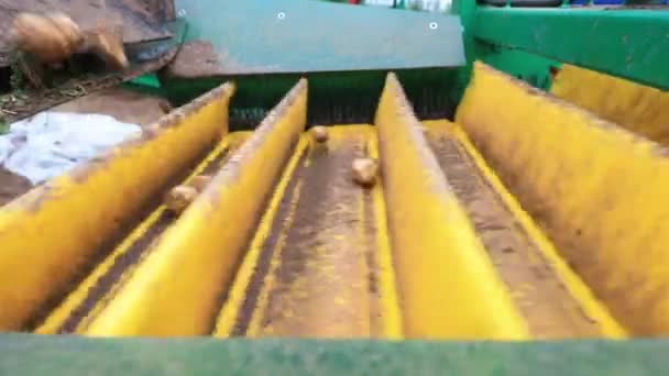 Die Kartoffeln Liegen Auf Dem Förderband Auf Dem Bauernhof Nordchina — Stockvideo