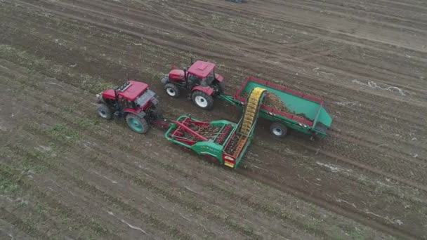 Agricultores Usam Máquinas Agrícolas Para Colher Batatas Campo Foto Aérea — Vídeo de Stock