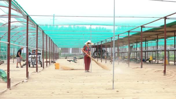 Comté Luannan Province Hebei Chine Juillet 2020 Les Travailleurs Nettoient — Video