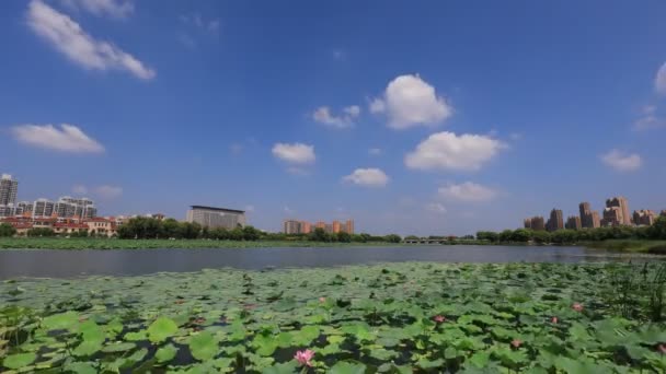 Paisaje Arquitectónico Ciudad Frente Mar Norte China — Vídeo de stock