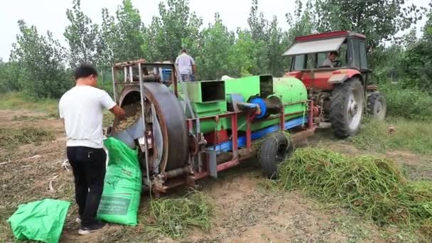 Luannan County Provincie Hebei China September 2020 Boeren Gebruiken Landbouwmachines — Stockvideo